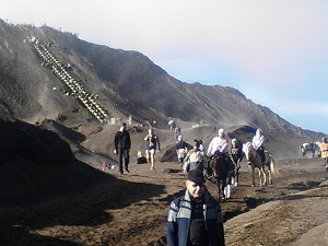 Bromo tour be the most wanted tour in east java