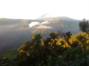 bromo  